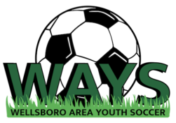 Wellsboro Area Youth Soccer logo